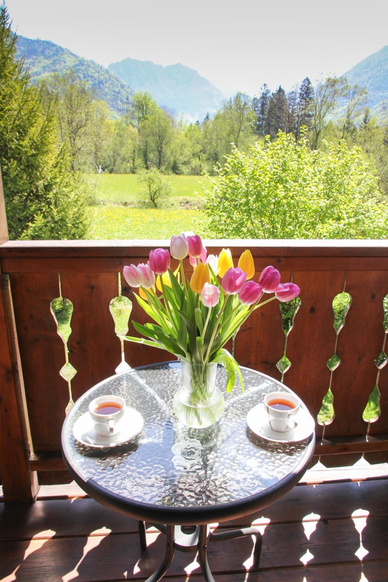 Villa Silvanus Ebensee Extérieur photo