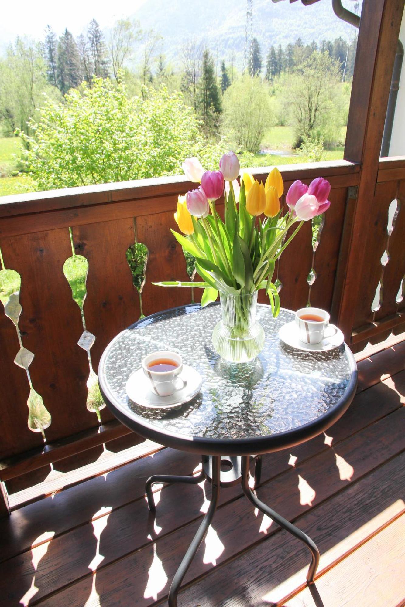 Villa Silvanus Ebensee Extérieur photo